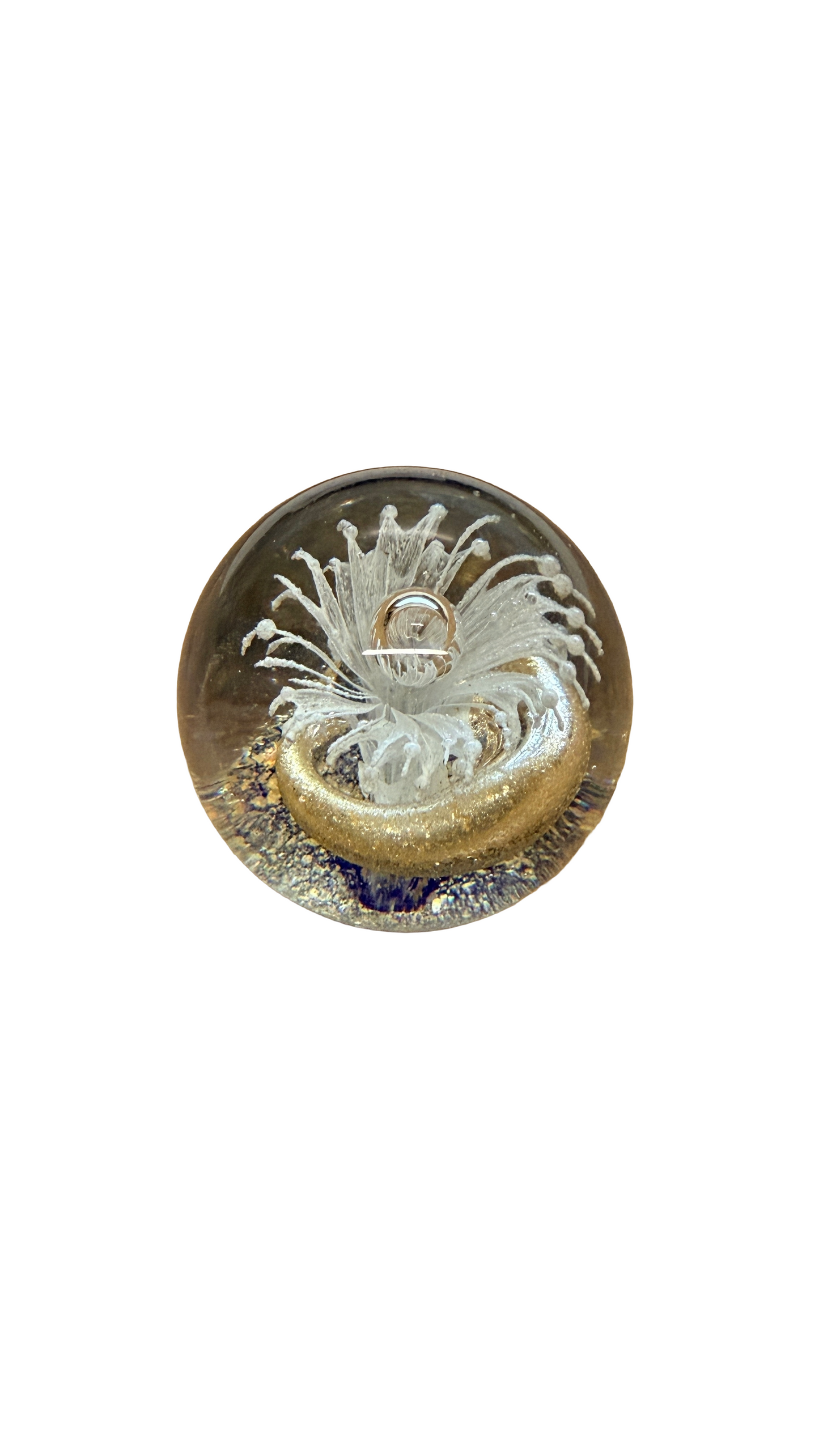 Ocean Fantasy Glass Art Paperweight Collection