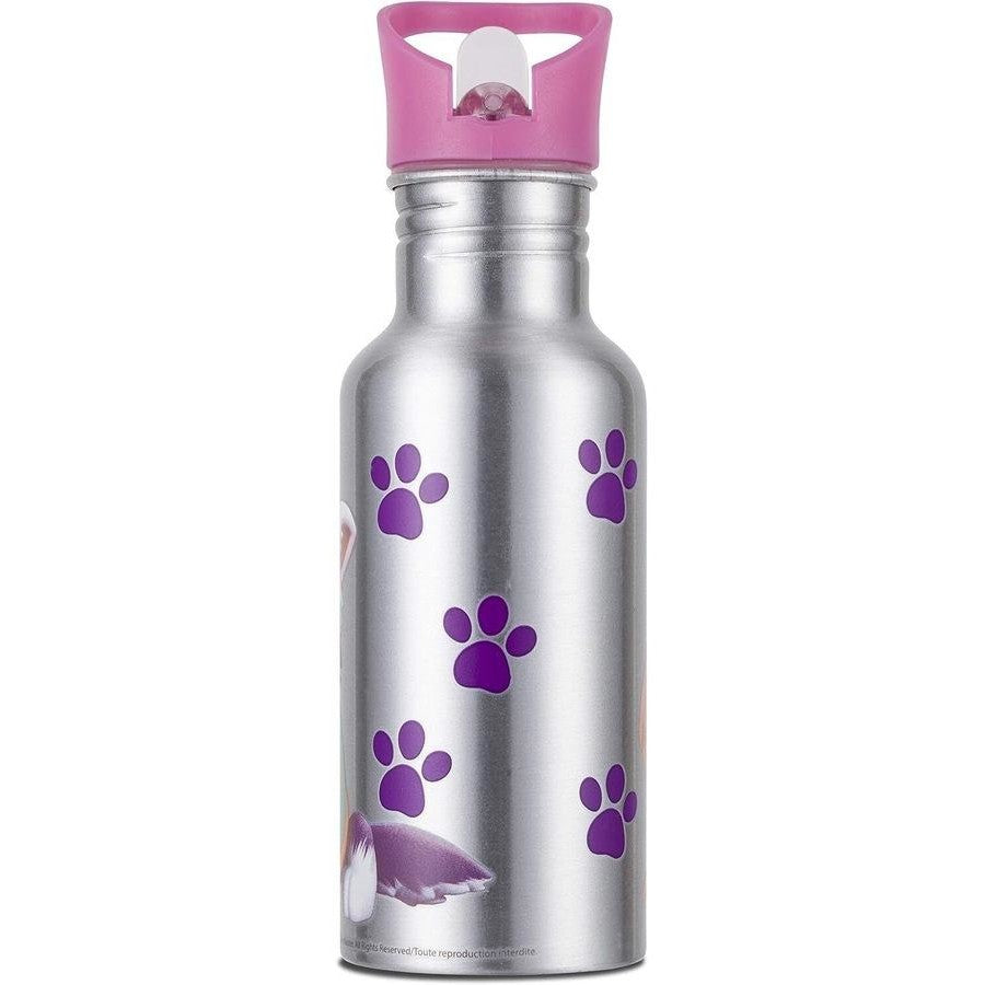 Nickelodeon Paw Patrol Colour Changing Aluminium Kids Water Bottle - Pink