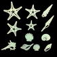 Reusable Self-Adhesive Glow-in-the-Dark Kids Room Wall Decor - Universal, Star, Planet, Dinosaur, Bear and Ocean Fish