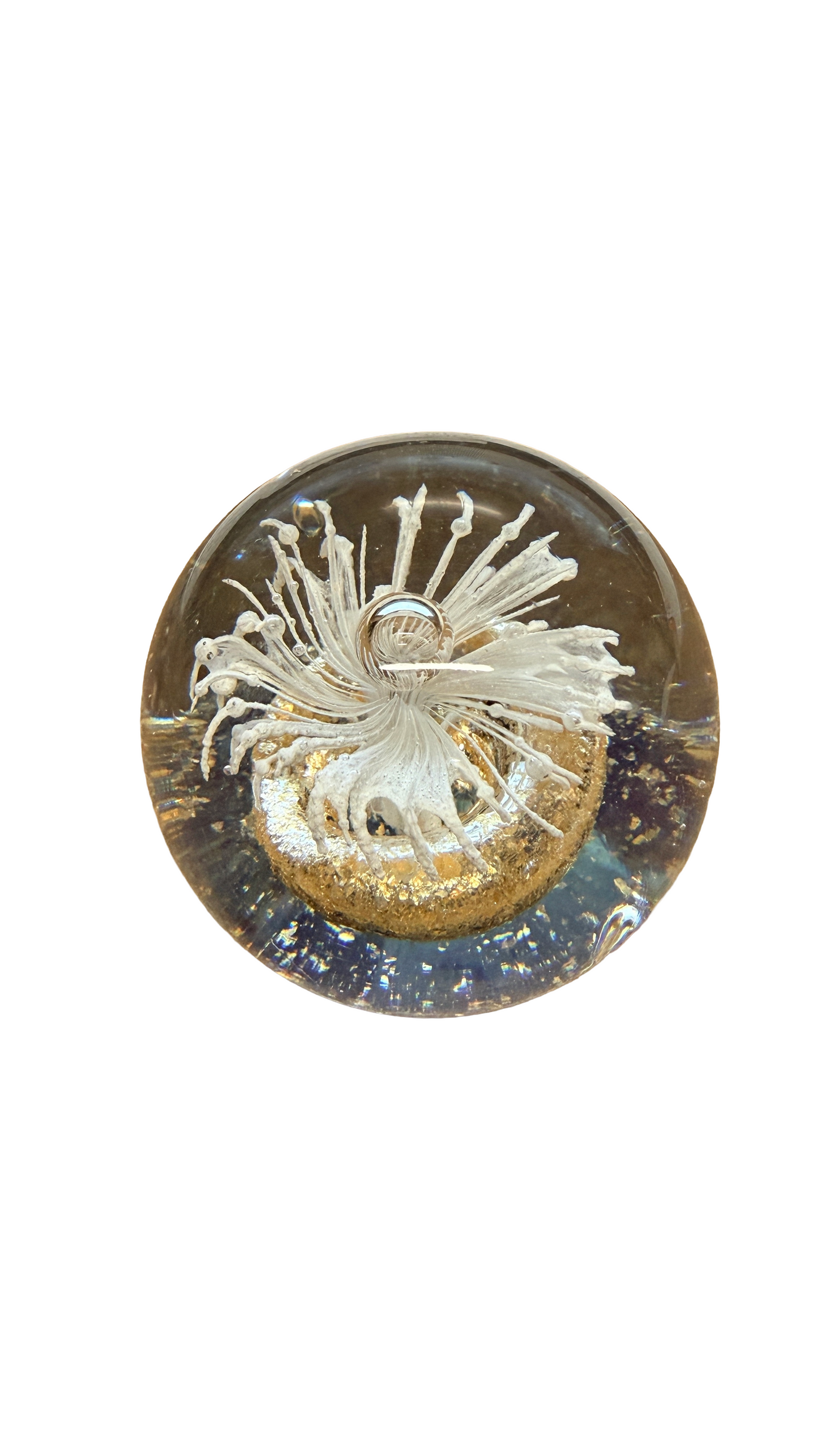Ocean Fantasy Glass Art Paperweight Collection