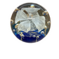 Ocean Fantasy Glass Art Paperweight Collection
