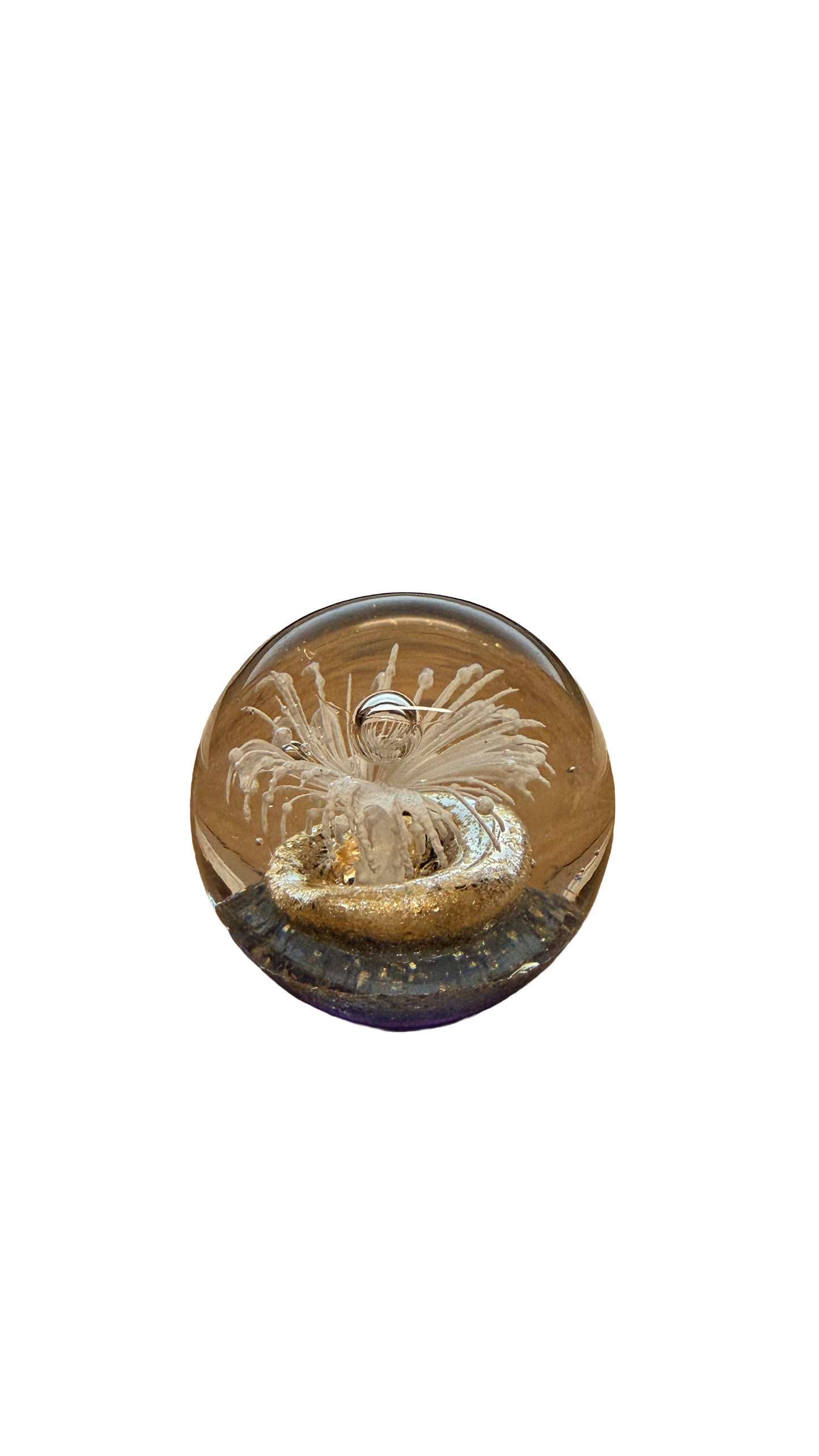 Ocean Fantasy Glass Art Paperweight Collection