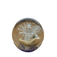 Ocean Fantasy Glass Art Paperweight Collection