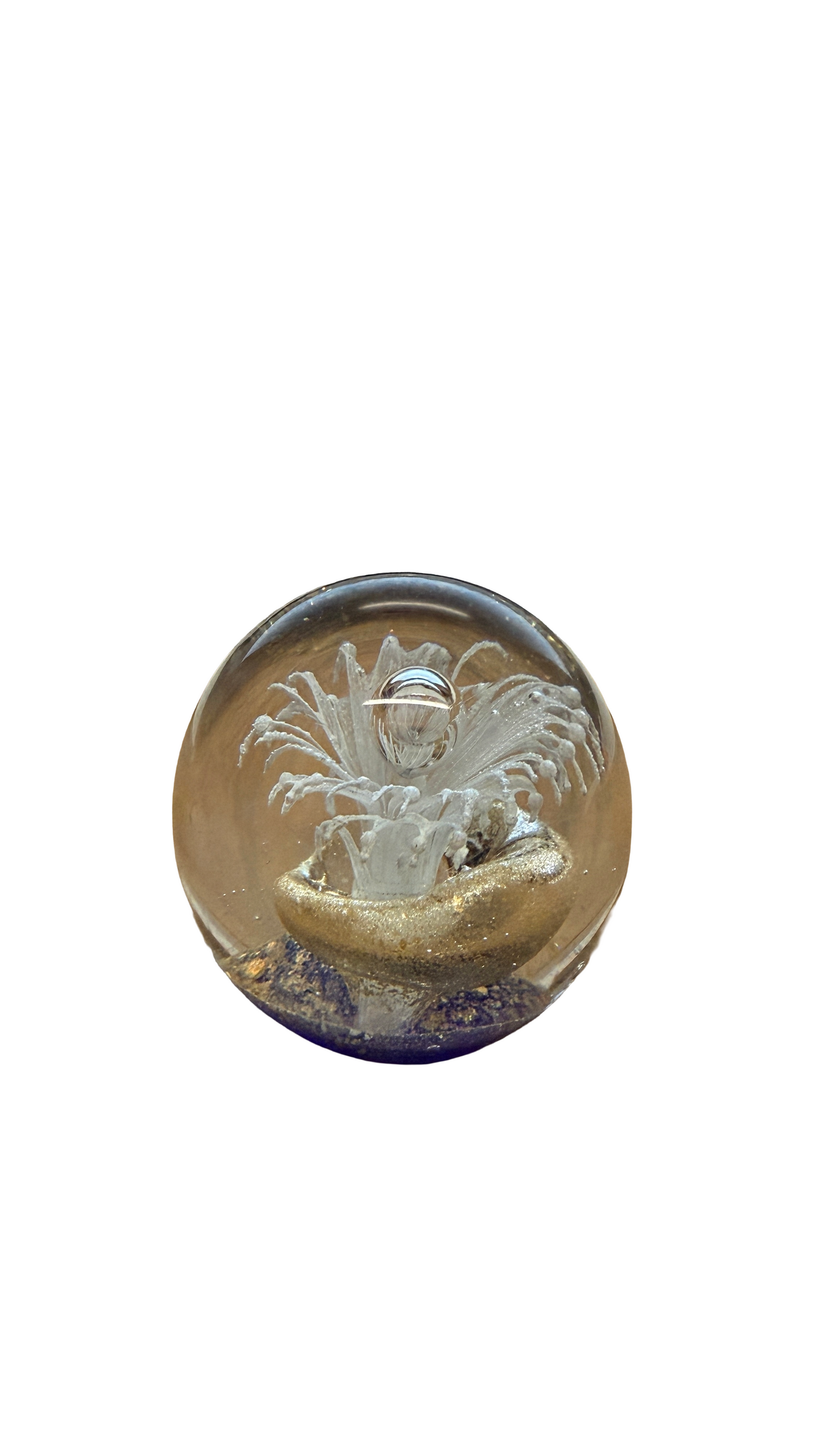Ocean Fantasy Glass Art Paperweight Collection