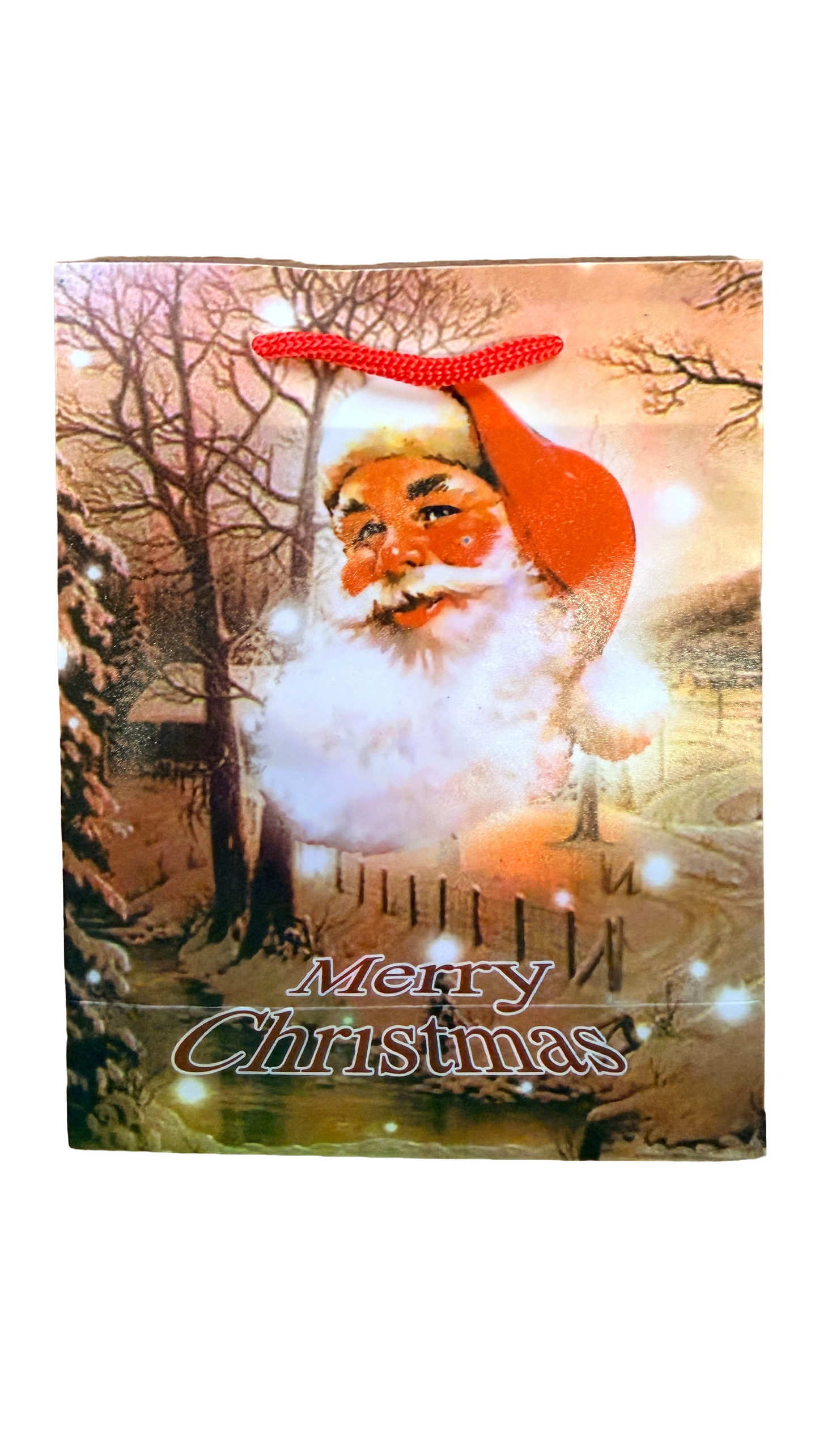 Pack of 12 x Santa Claus Holiday Christmas Gift Bag