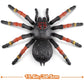 15.6" Zuru Robo Alive Giant Tarantula Real-Life Robotic Pets