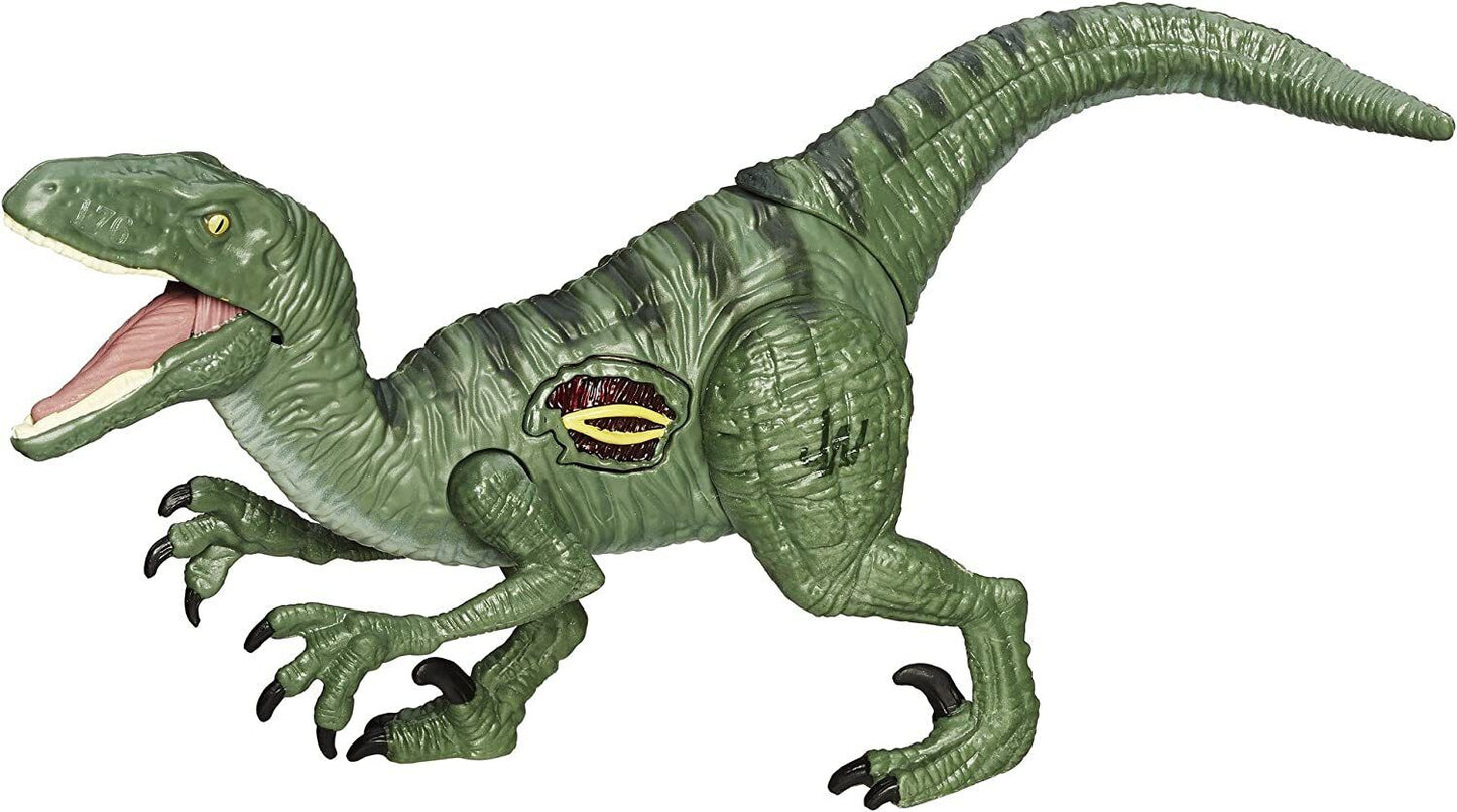 Hasbro Jurassic World Velociraptor “Charlie” Dinosaur