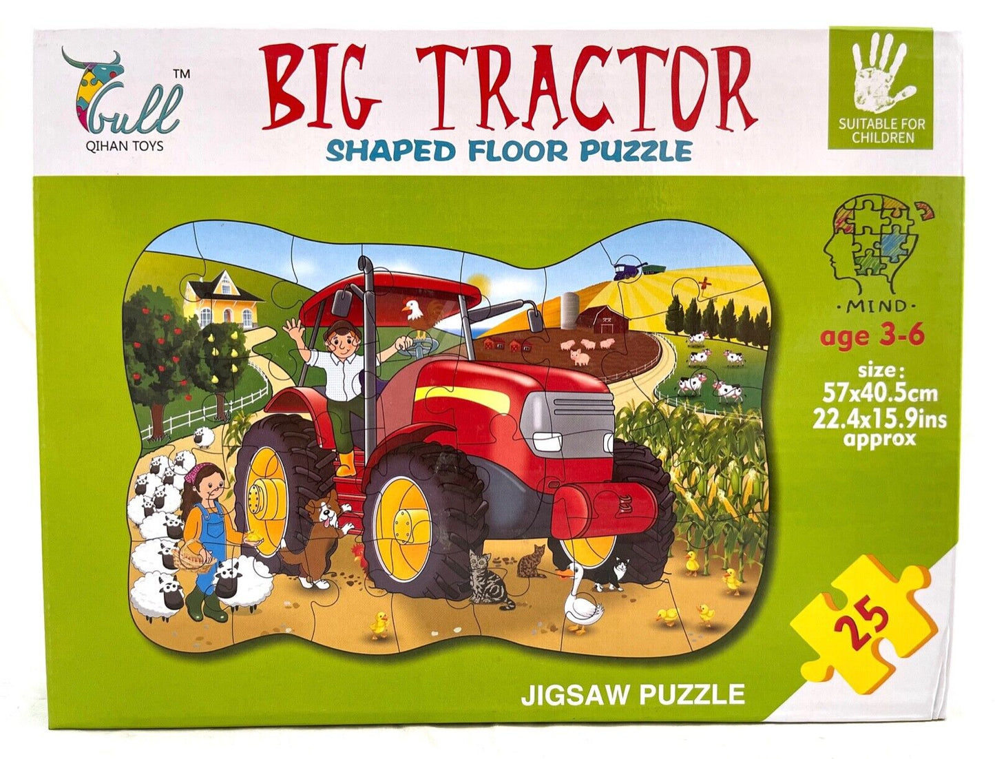 Jigsaw Puzzle Shaped Floor Puzzle 